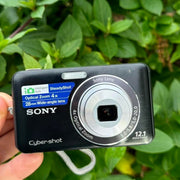 Camera: Sony Cybershot DSC W310 12.1